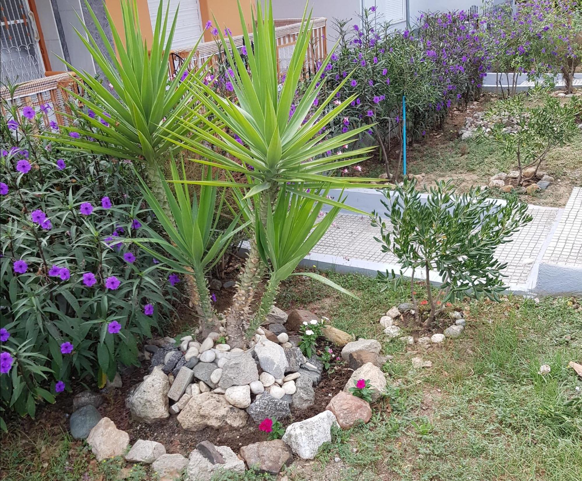 Roses Studio 2&3 Nea Moudania Exterior foto
